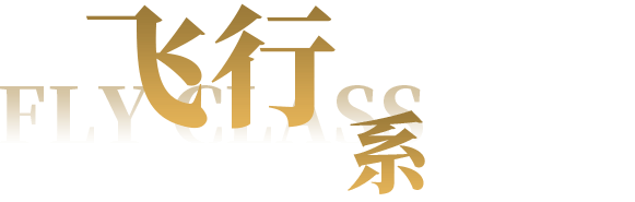 飞行系