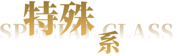 特殊系